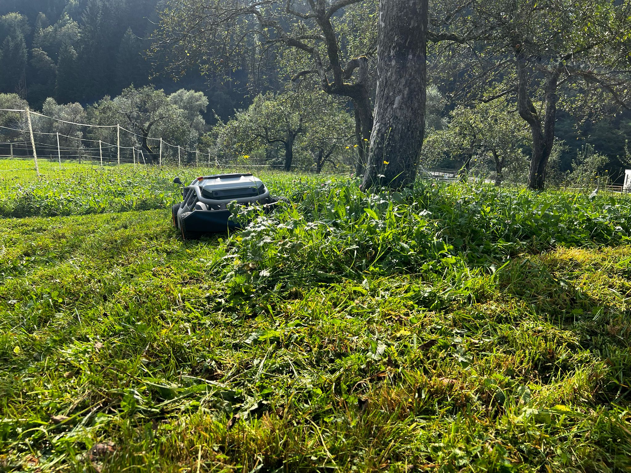 Mowrator S1 - 4WD 12Ah